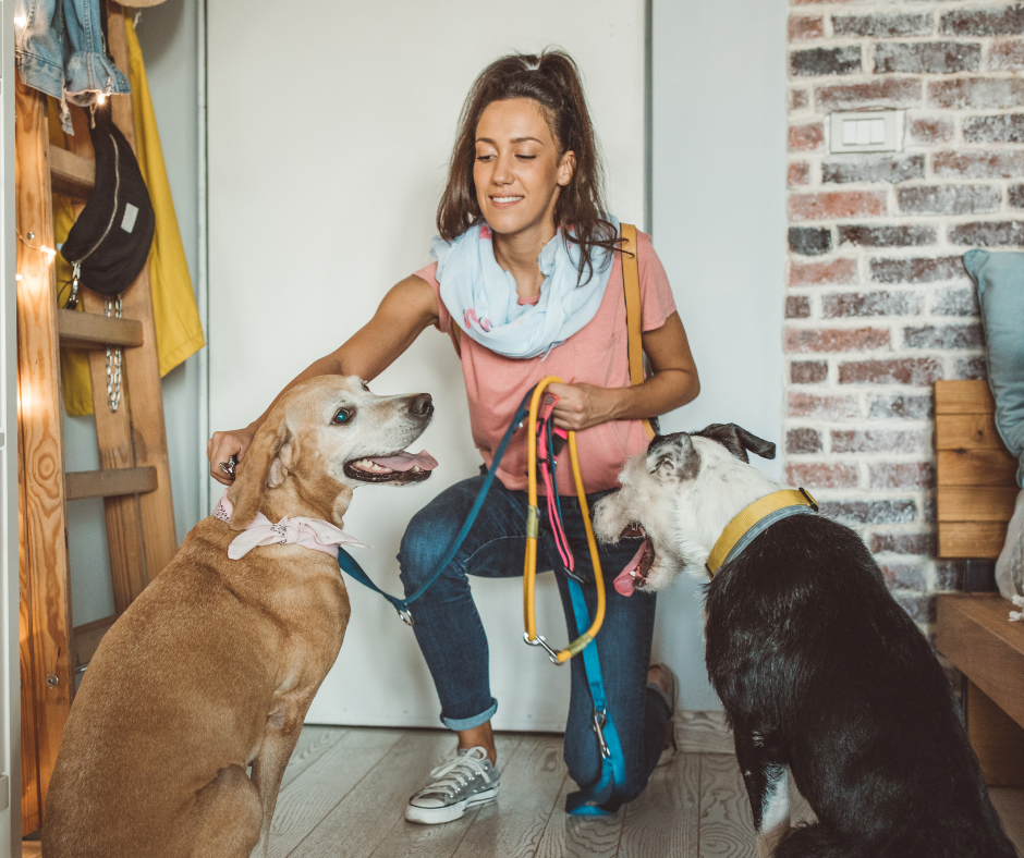 Elodie, Pet Sitter indépendante
