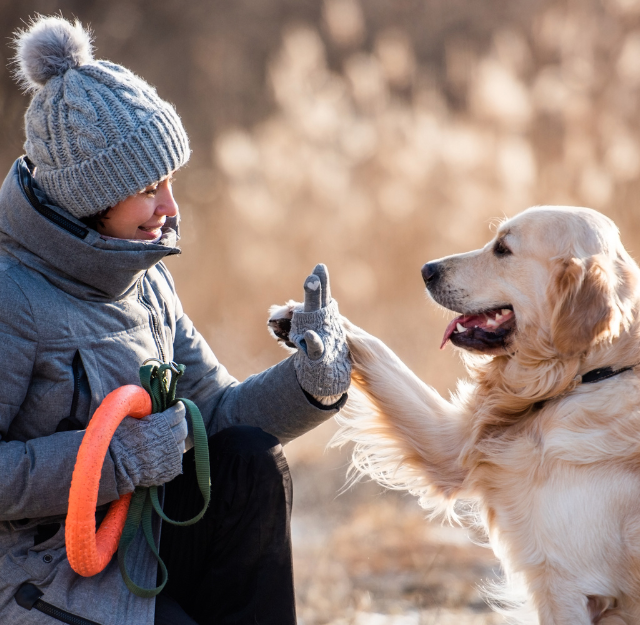 éducateur canin