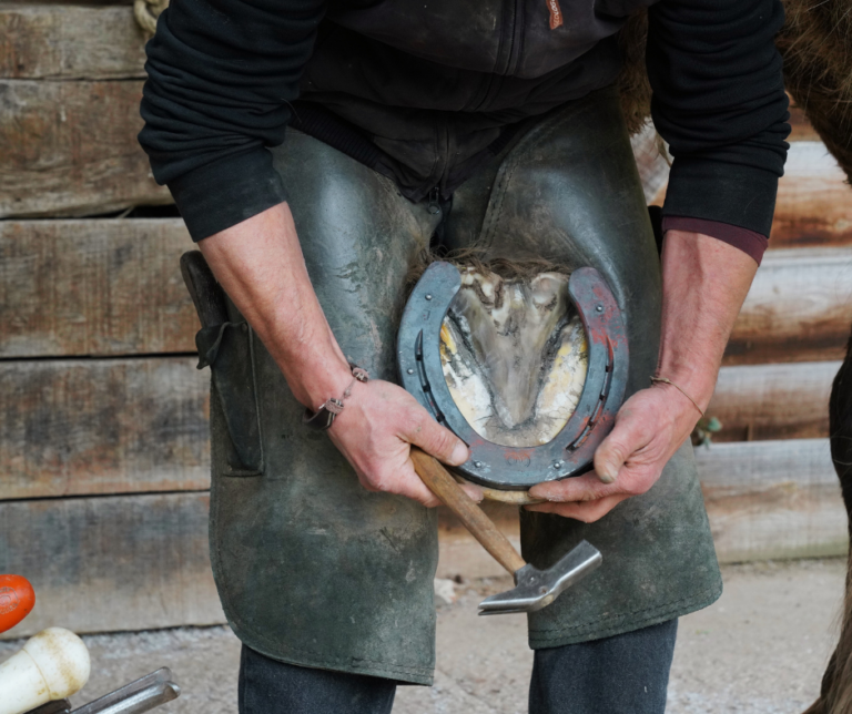 application maréchal-ferrant